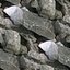 seamless rock